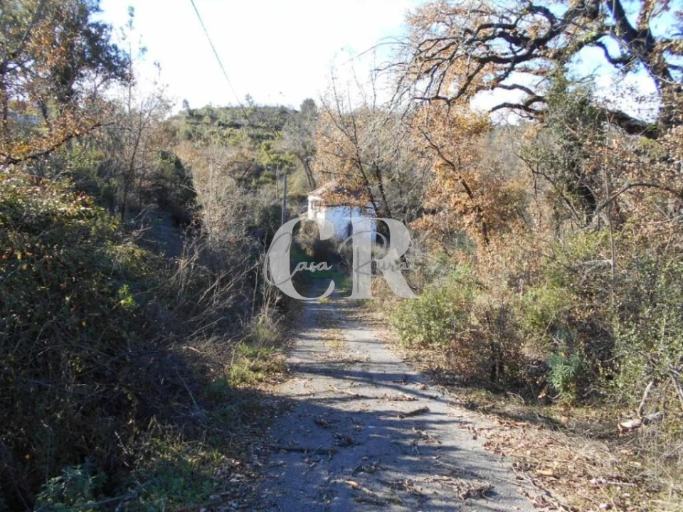 Moradia T3 para Venda em Santiago da Guarda Foto 5