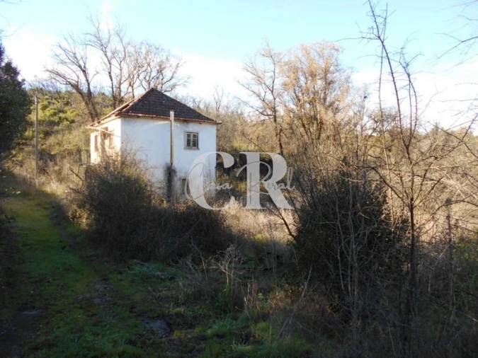 Moradia T3 para Venda em Santiago da Guarda Foto 4