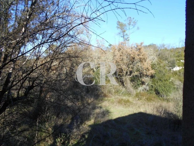 Moradia T3 para Venda em Santiago da Guarda Foto 28