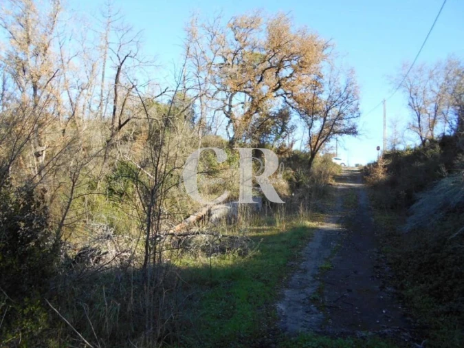 Moradia T3 para Venda em Santiago da Guarda Foto 27