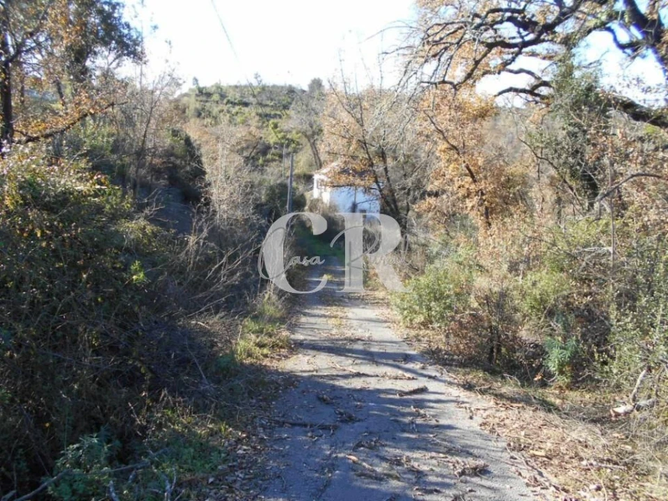 Moradia T3 para Venda em Santiago da Guarda Foto 32