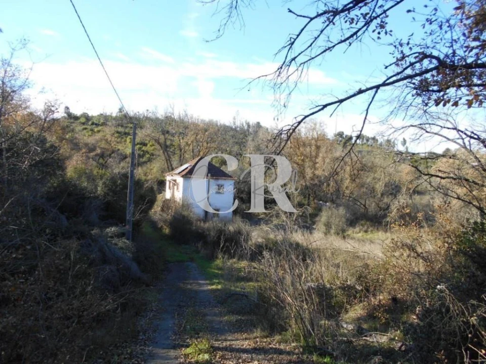 Moradia T3 para Venda em Santiago da Guarda Foto 3