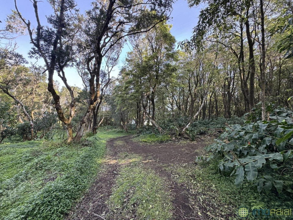 Prédio para Venda em Capelo Foto 11