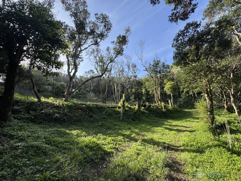 Prédio para Venda em Capelo Foto 10