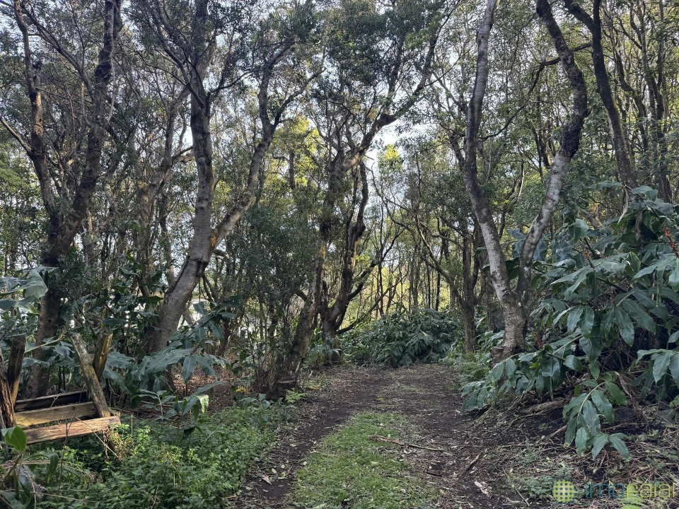 Prédio para Venda em Capelo Foto 31