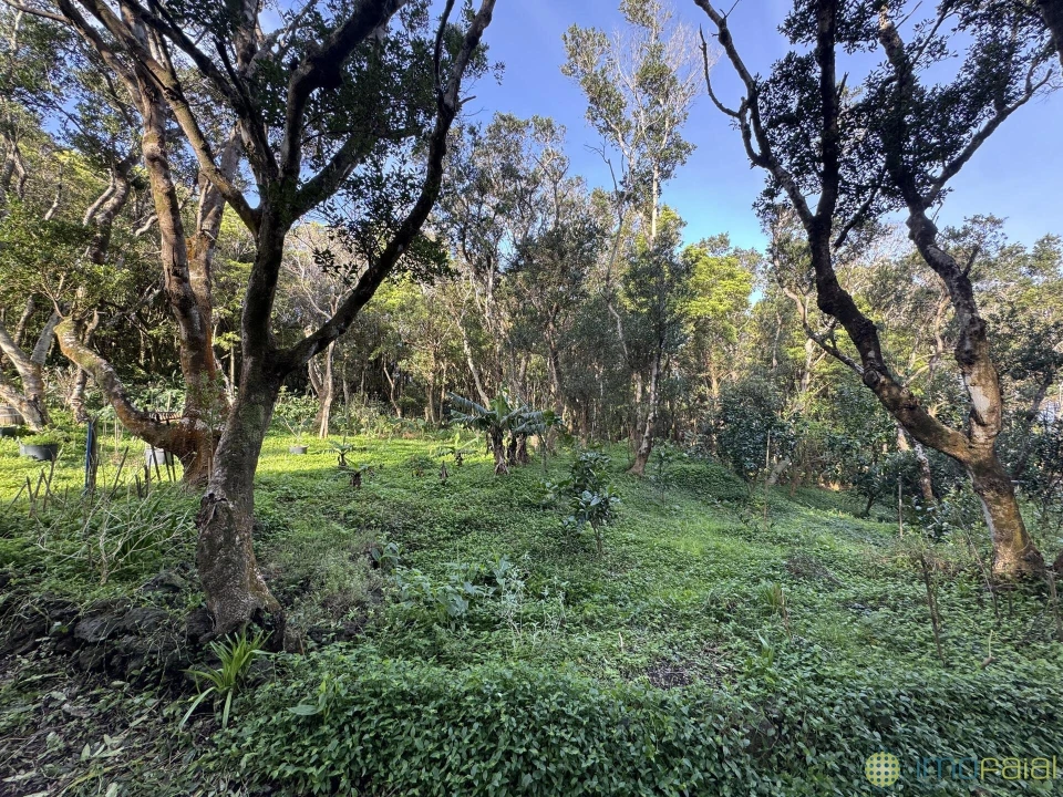 Prédio para Venda em Capelo Foto 12