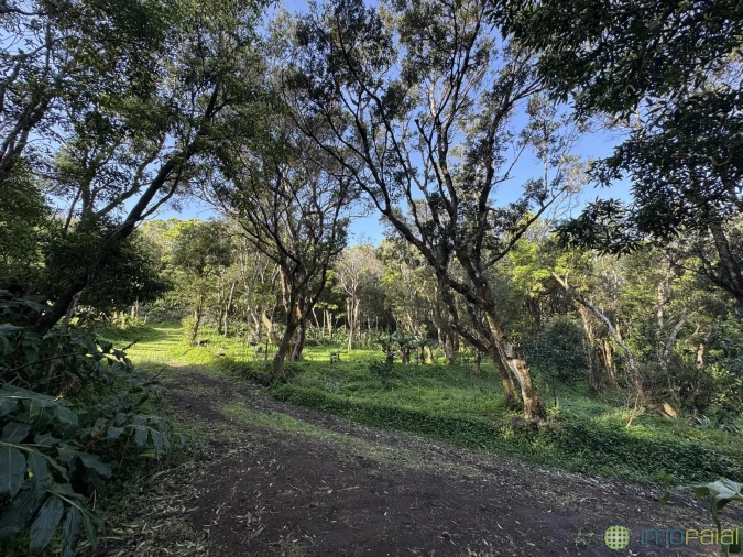 Prédio para Venda em Capelo Foto 27