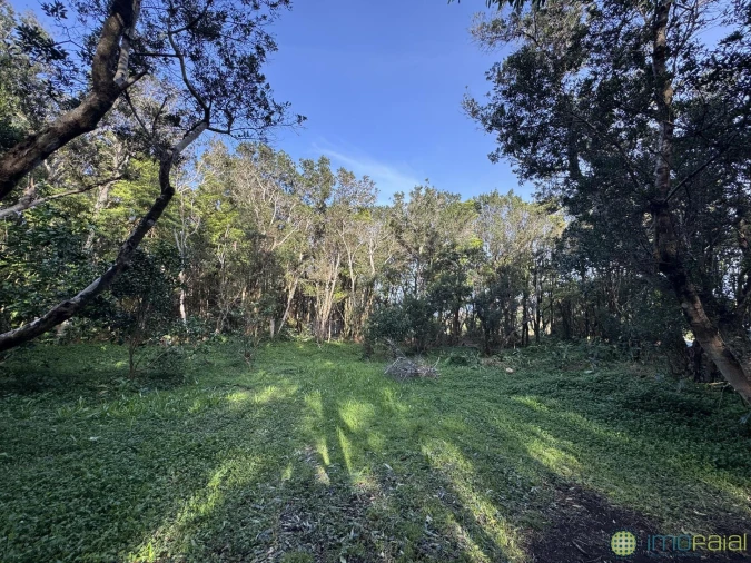 Prédio para Venda em Capelo Foto 30