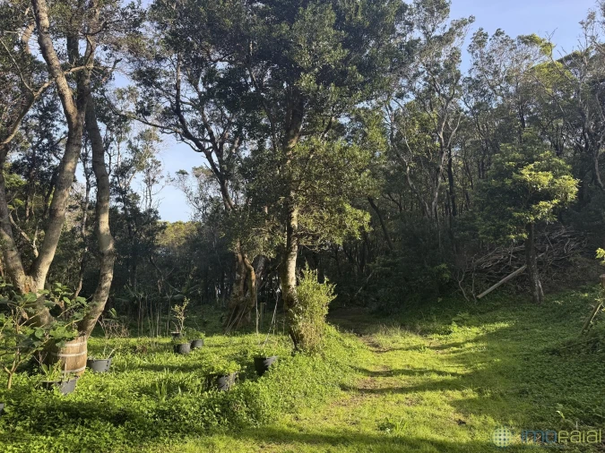 Prédio para Venda em Capelo Foto 8