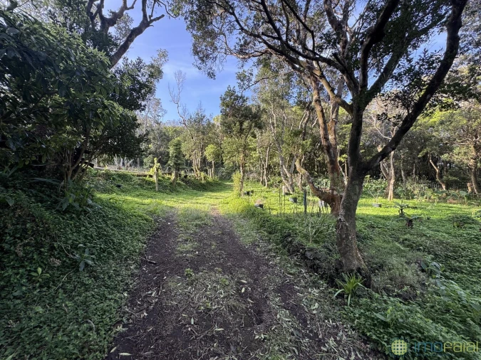 Prédio para Venda em Capelo Foto 13