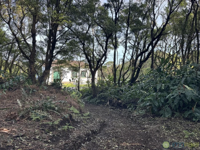 Prédio para Venda em Capelo Foto 32