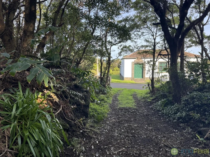 Prédio para Venda em Capelo Foto 33