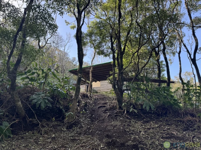 Prédio para Venda em Capelo Foto 24