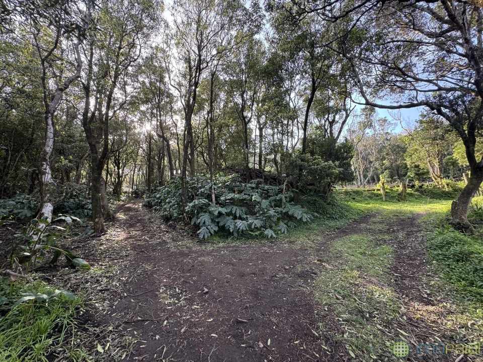 Prédio para Venda em Capelo Foto 14