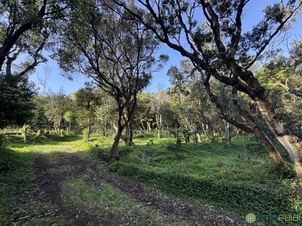 Prédio para Venda em Capelo Foto 29