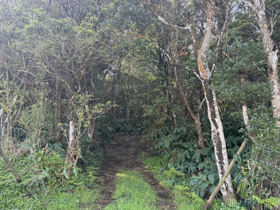 Prédio para Venda em Capelo Foto 2
