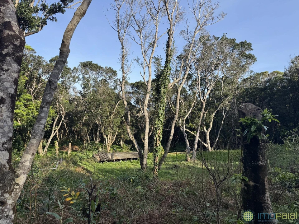 Prédio para Venda em Capelo Foto 6