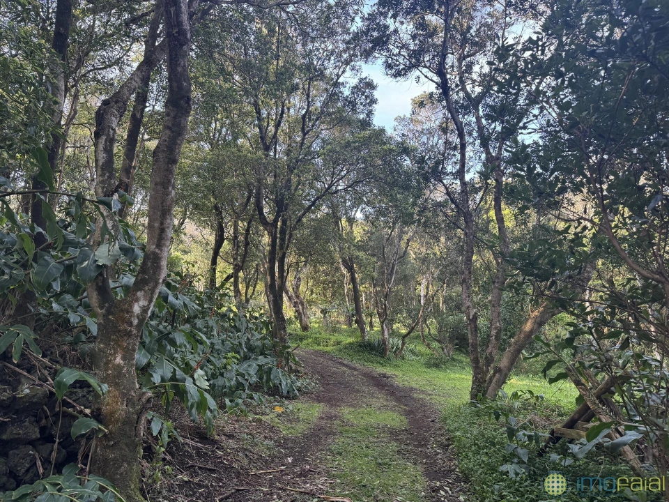 Prédio para Venda em Capelo Foto 4
