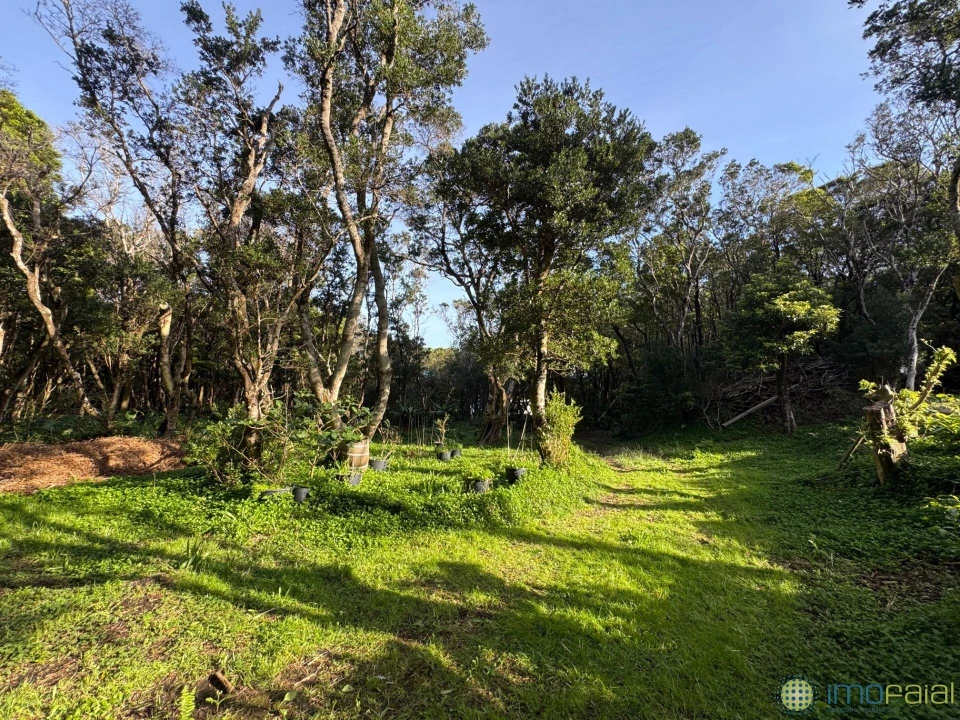 Prédio para Venda em Capelo Foto 9