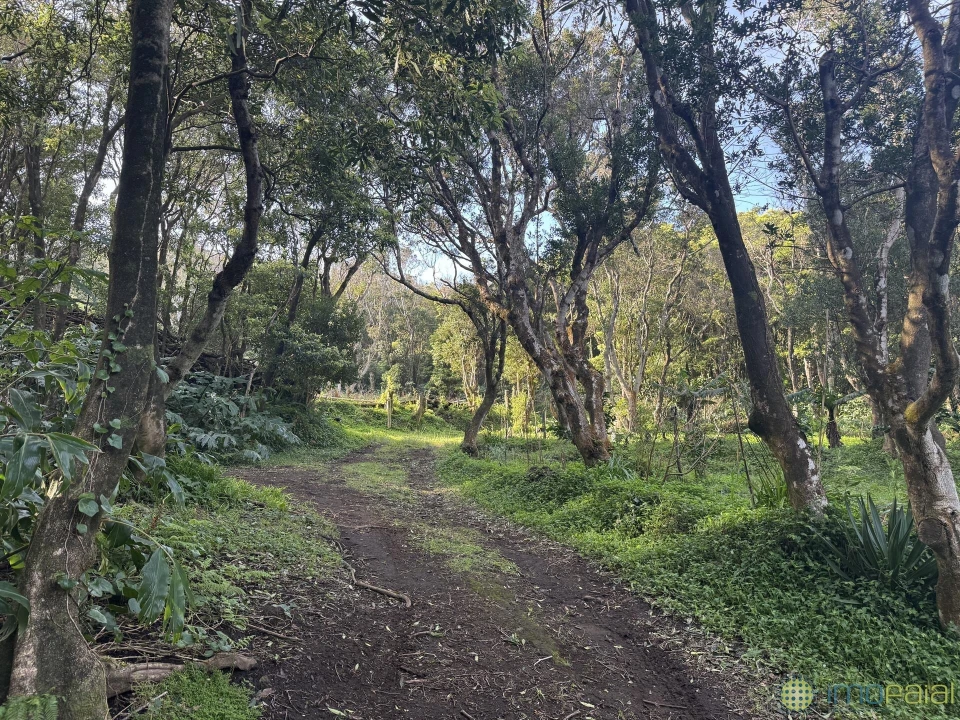 Prédio para Venda em Capelo Foto 5