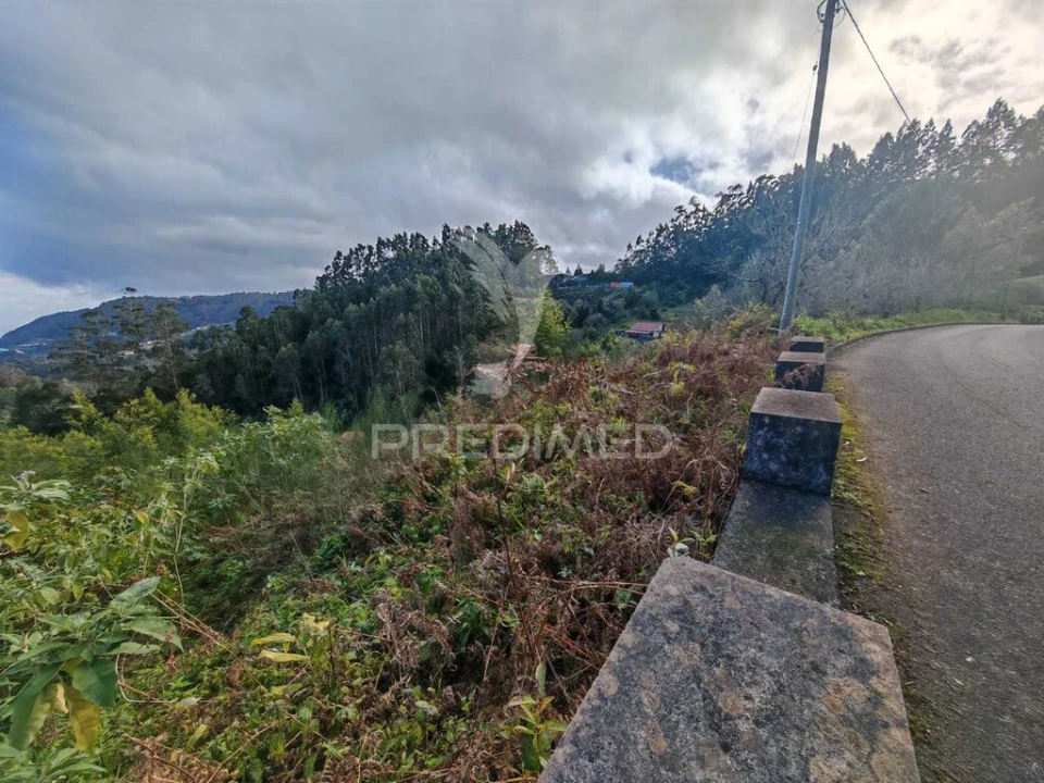 Terreno para Venda em Santo Antonio da Serra Foto 17