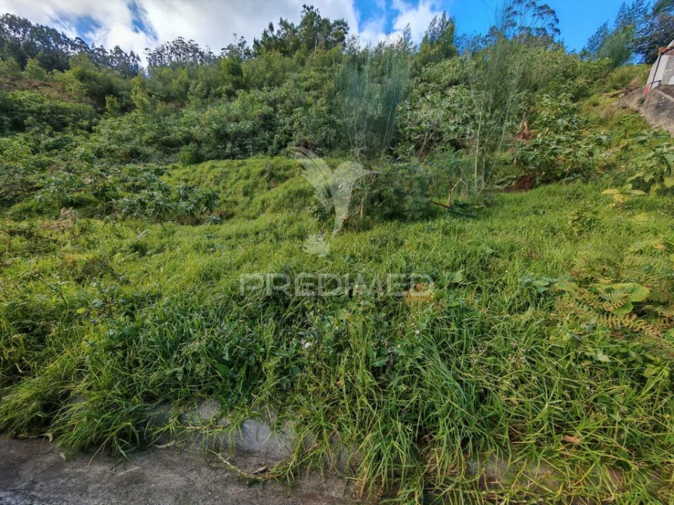 Terreno para Venda em Santo Antonio da Serra Foto 9