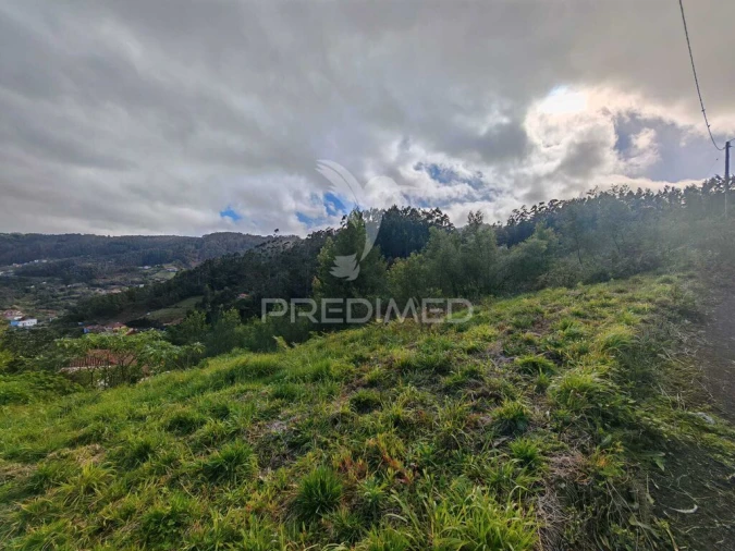 Terreno para Venda em Santo Antonio da Serra Foto 10