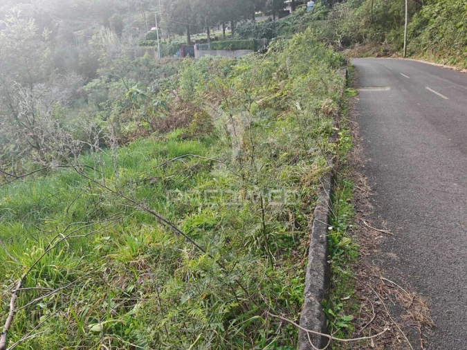 Terreno para Venda em Santo Antonio da Serra Foto 13