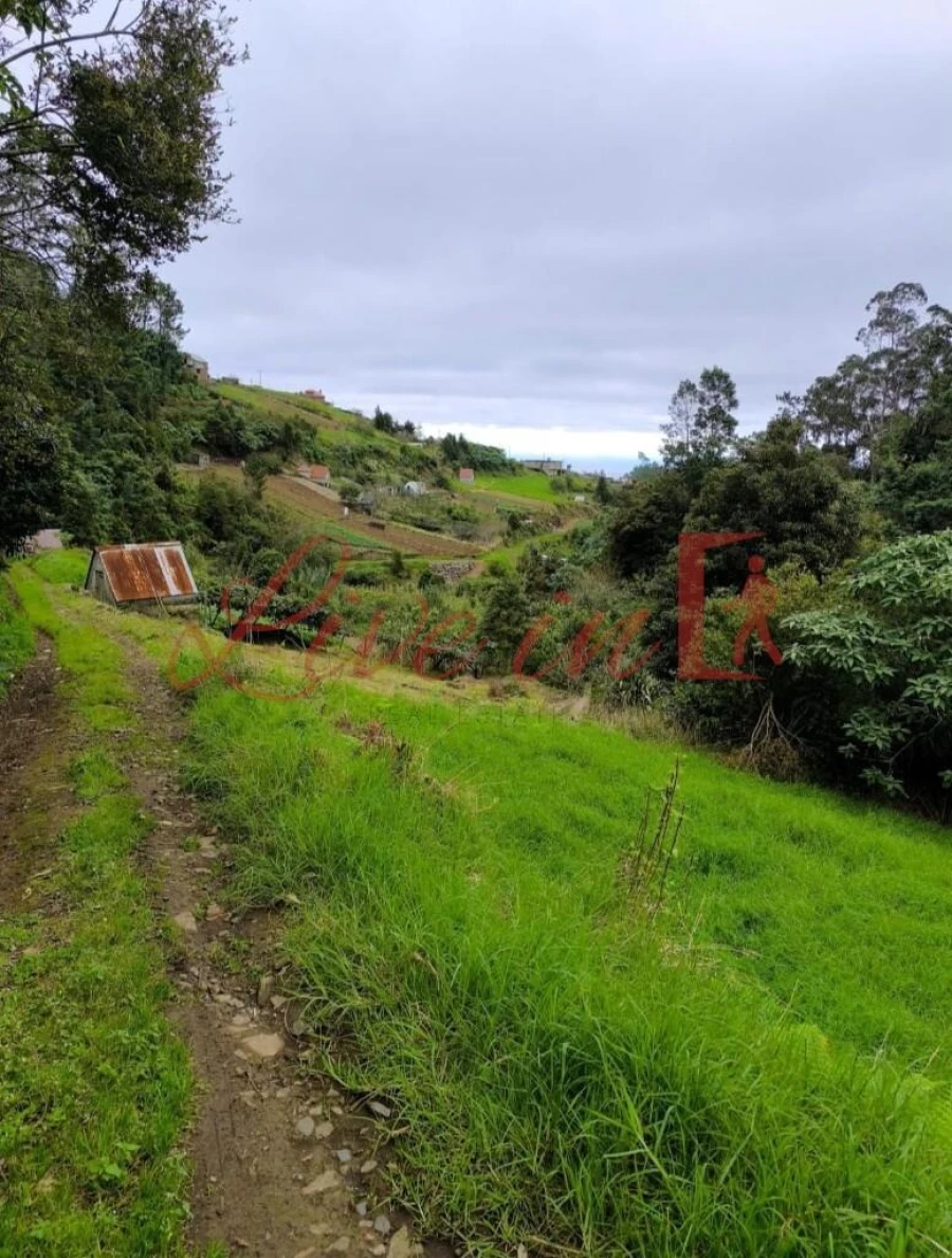 Terreno para Venda em Arco de São Jorge Foto 13