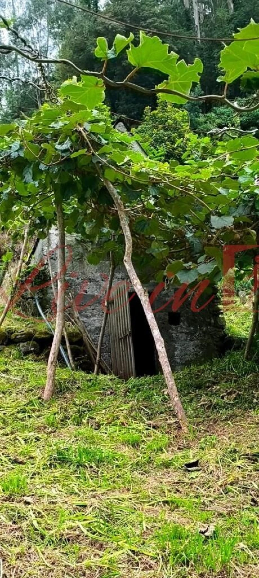Terreno para Venda em Arco de São Jorge Foto 10