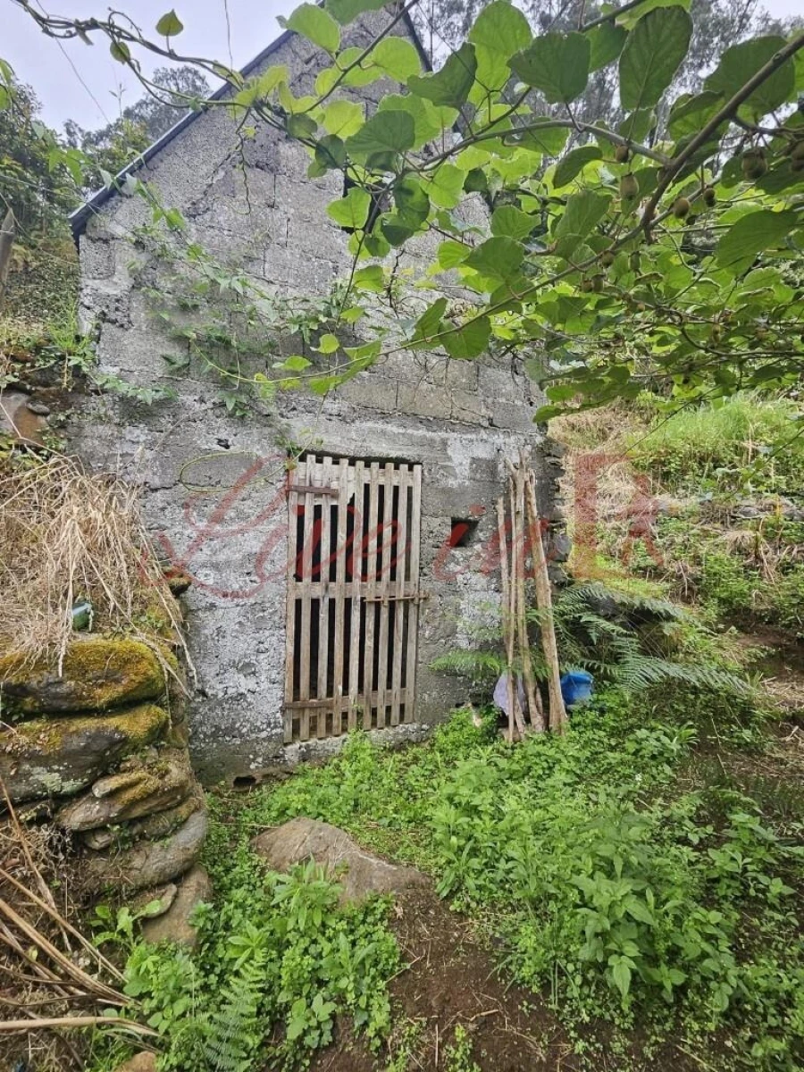 Terreno para Venda em Arco de São Jorge Foto 3