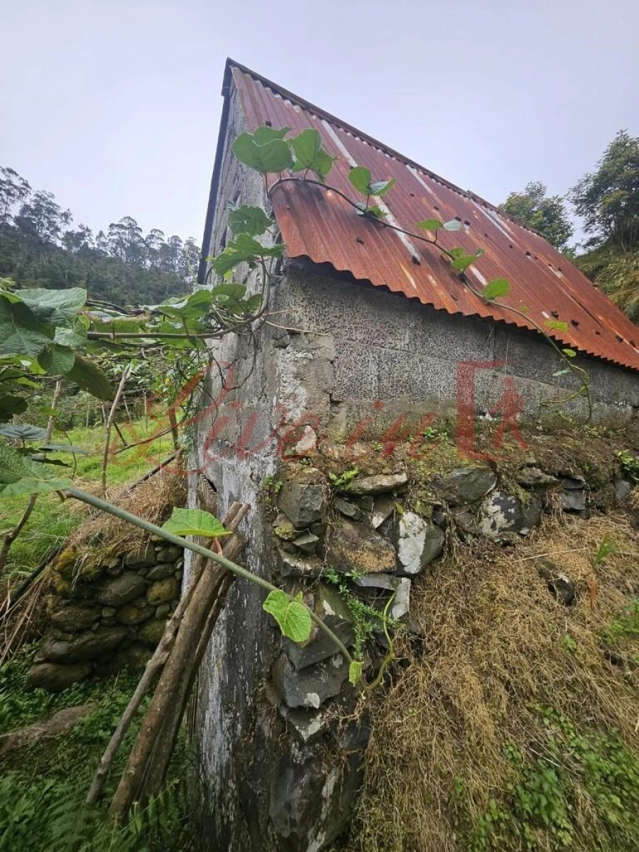 Terreno para Venda em Arco de São Jorge Foto 6