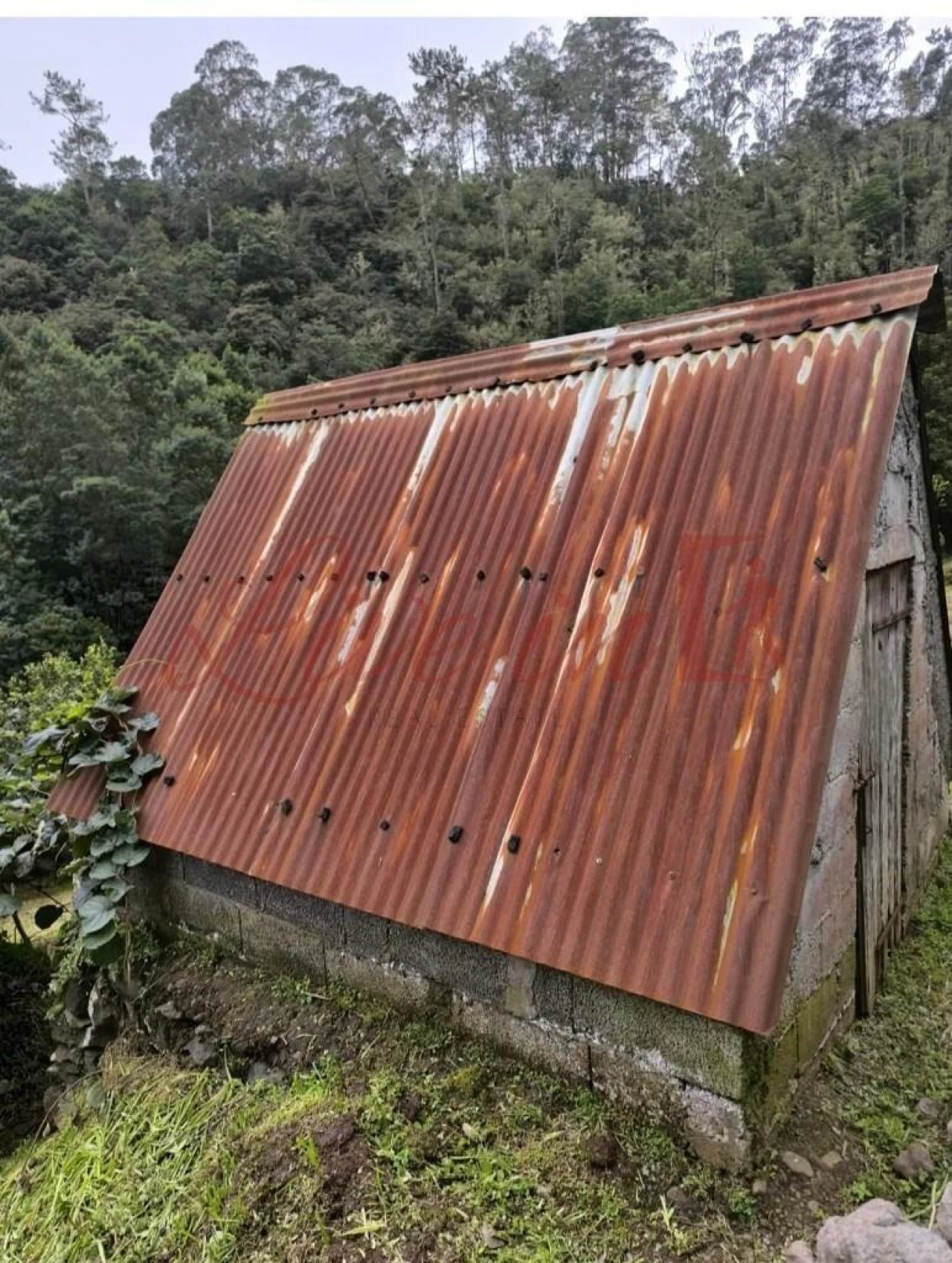 Terreno para Venda em Arco de São Jorge Foto 5