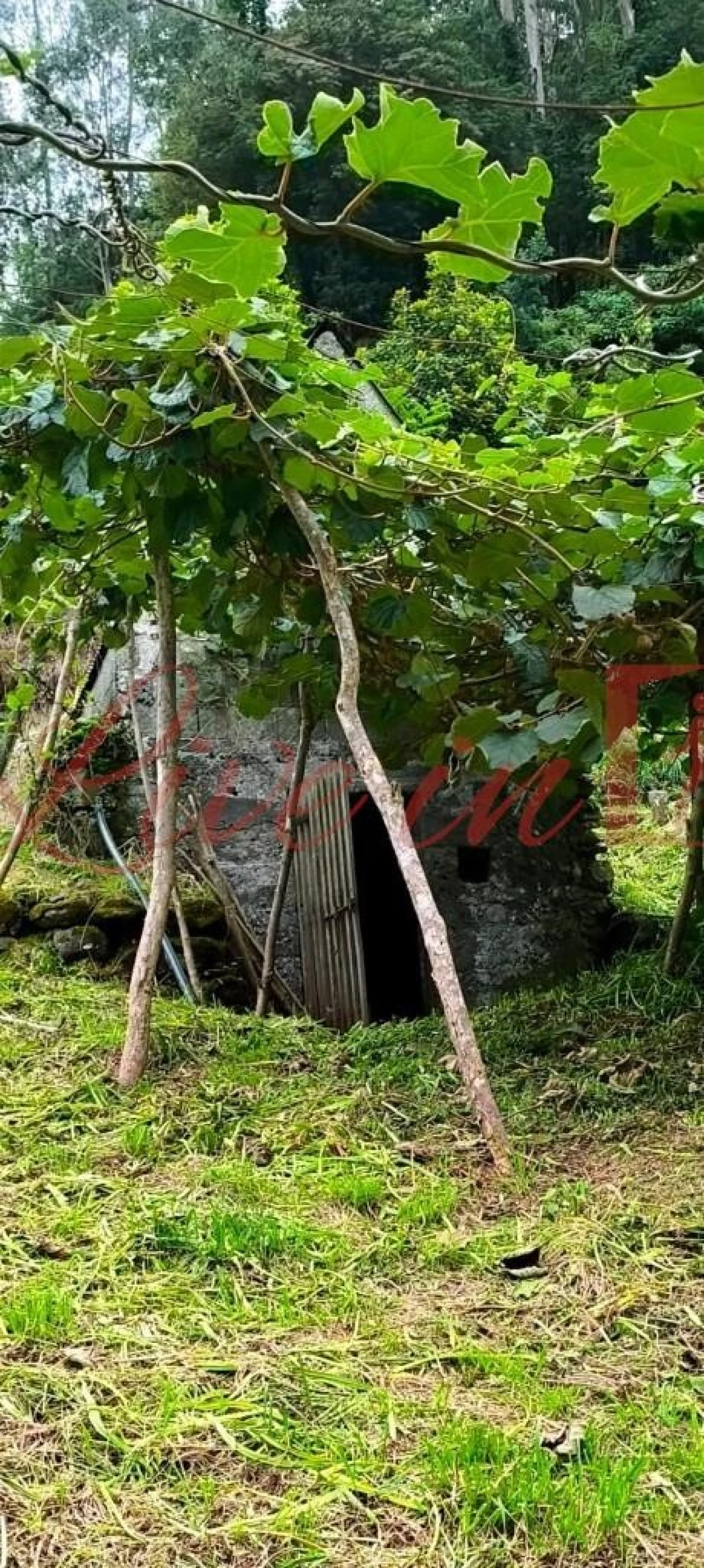 Terreno para Venda em Arco de São Jorge Foto 10