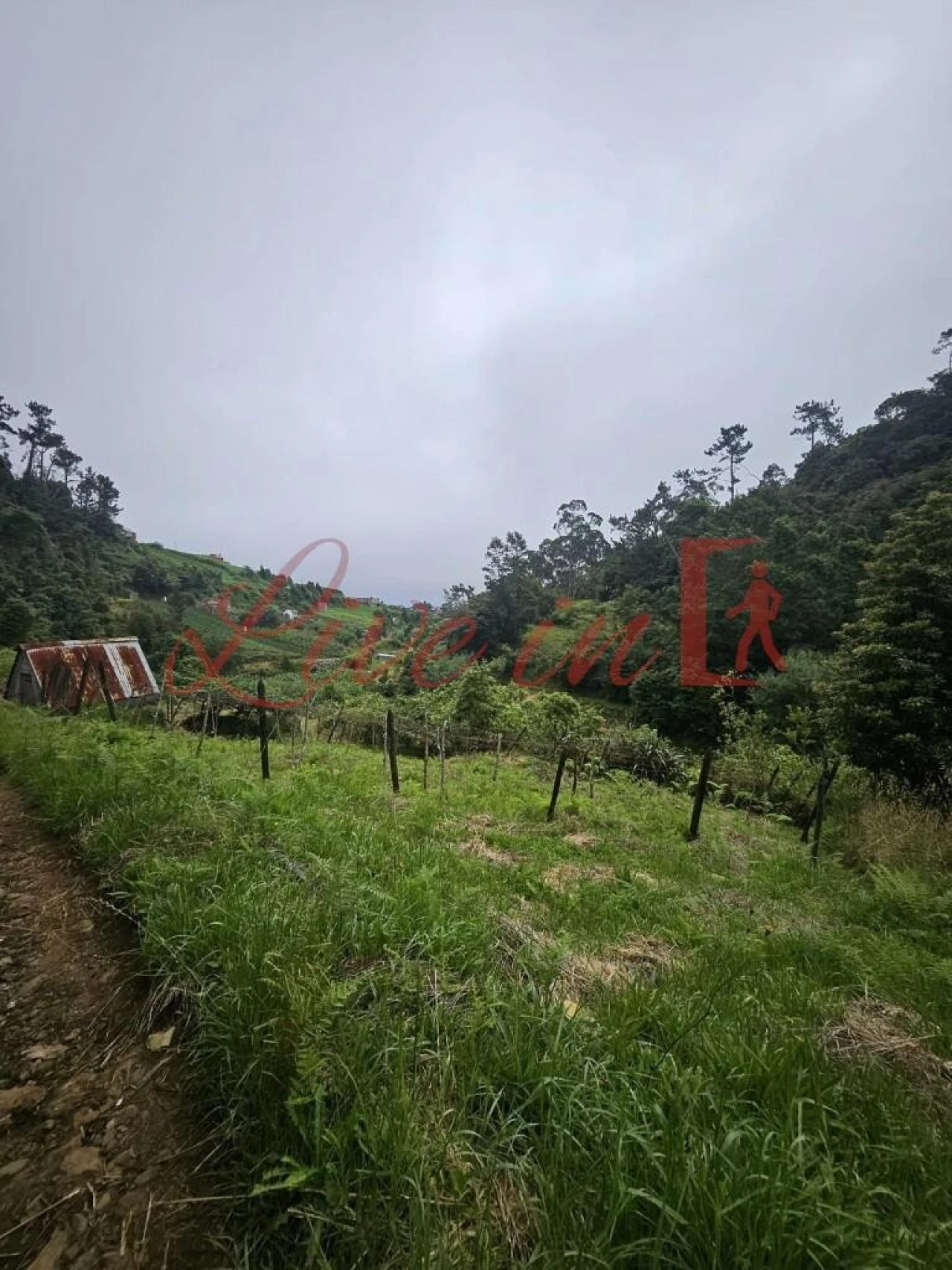 Terreno para Venda em Arco de São Jorge Foto 11