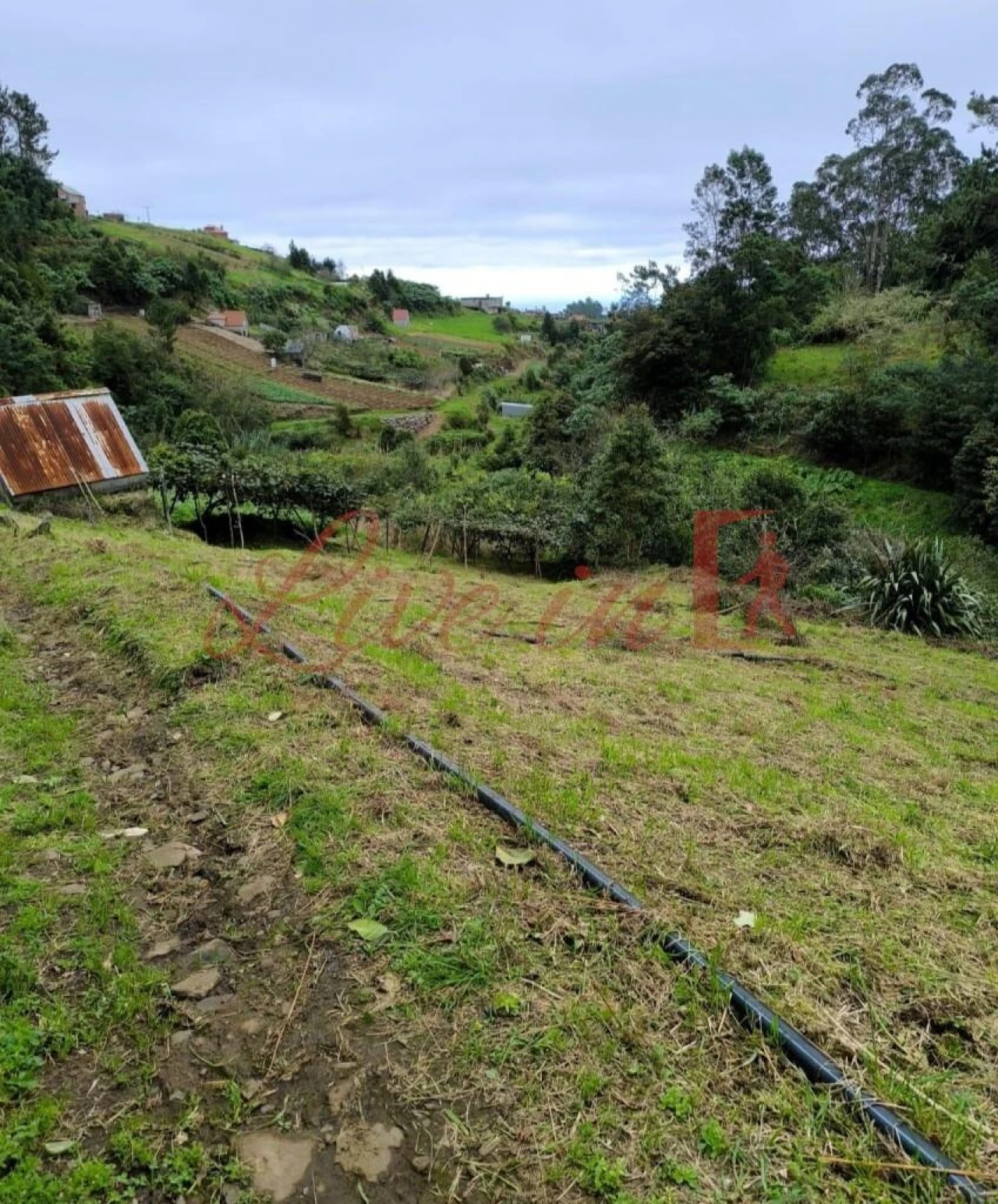 Terreno para Venda em Arco de São Jorge Foto 8