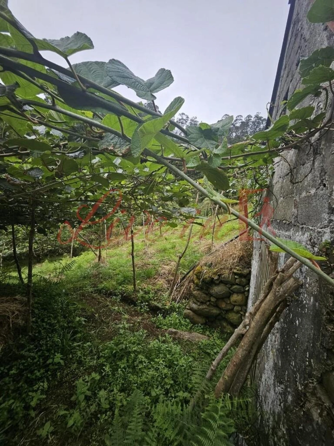 Terreno para Venda em Arco de São Jorge Foto 1