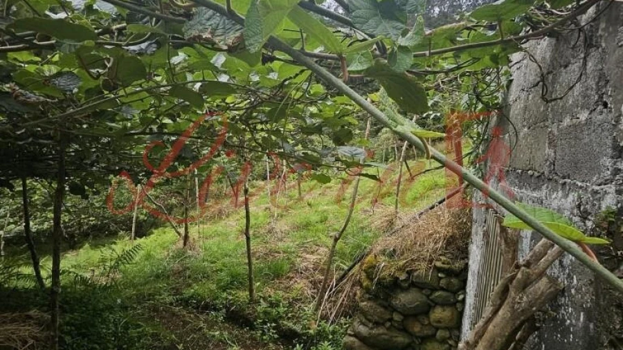 Terreno para Venda em Arco de São Jorge