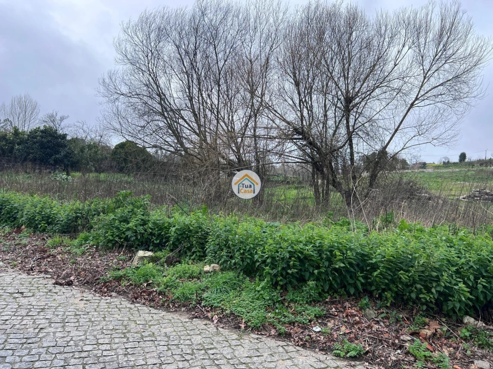 Terreno para Venda em Avintes Foto 5