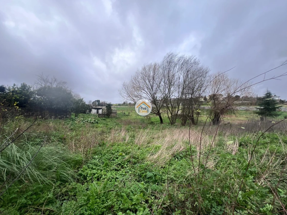 Terreno para Venda em Avintes Foto 16