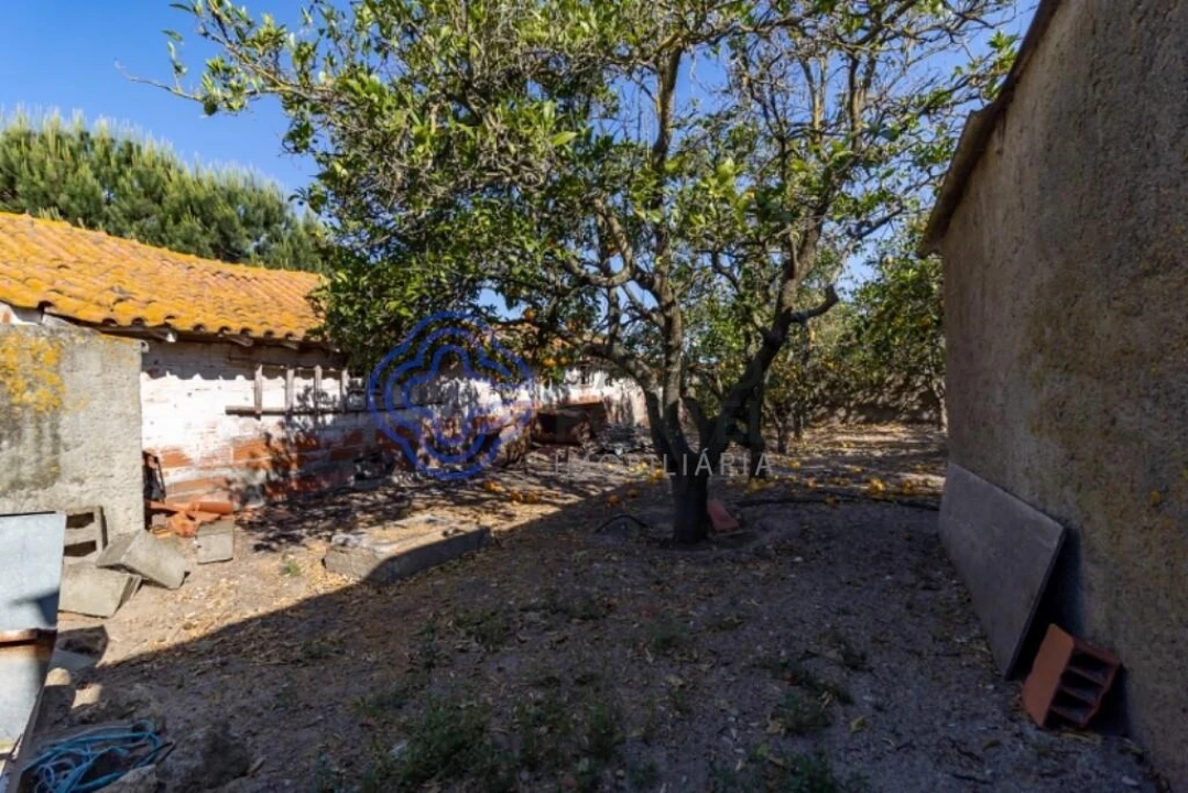 Terreno para Venda em Quinta do Anjo Foto 55
