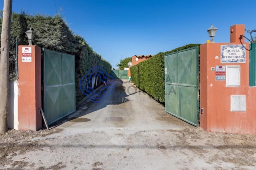 Terreno para Venda em Quinta do Anjo Foto 11