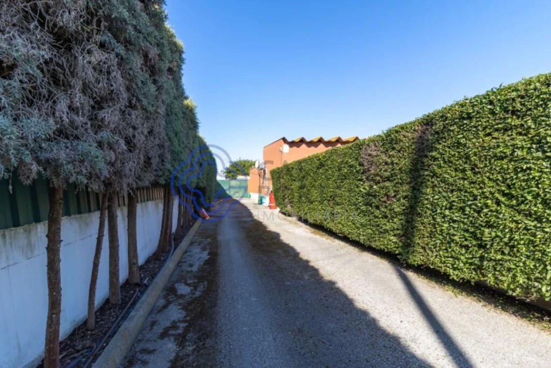 Terreno para Venda em Quinta do Anjo Foto 2
