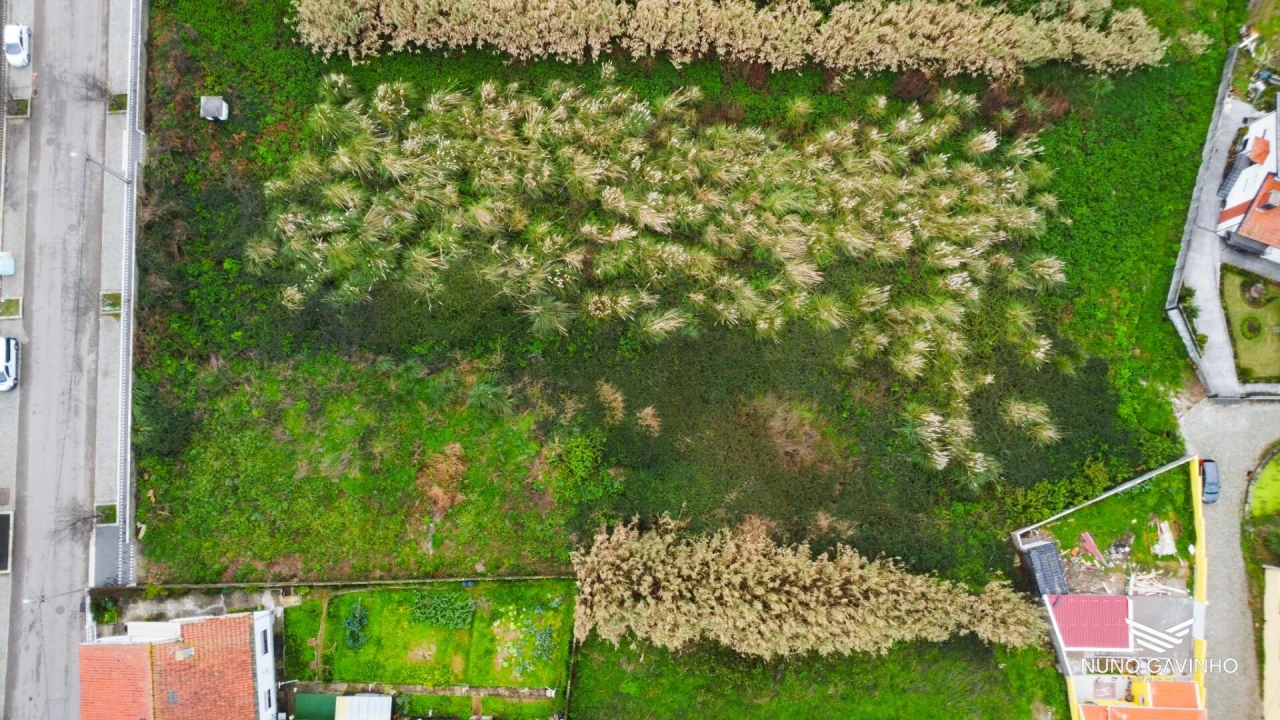 Terreno para Venda em Gulpilhares e Valadares Foto 7