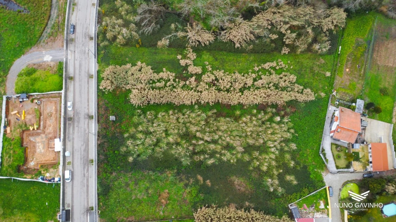 Terreno para Venda em Gulpilhares e Valadares Foto 6