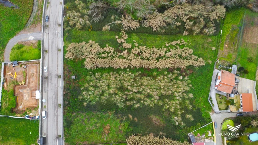Terreno para Venda em Gulpilhares e Valadares Foto 6