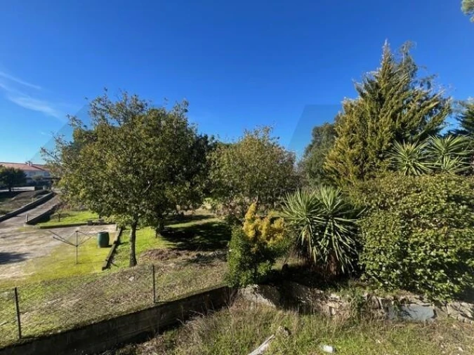 Quinta T2 para Venda em Vila Nova de Tazem Foto 6