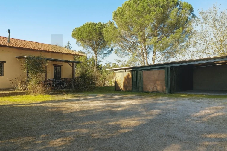 Quinta T2 para Venda em Vila Nova de Tazem Foto 4