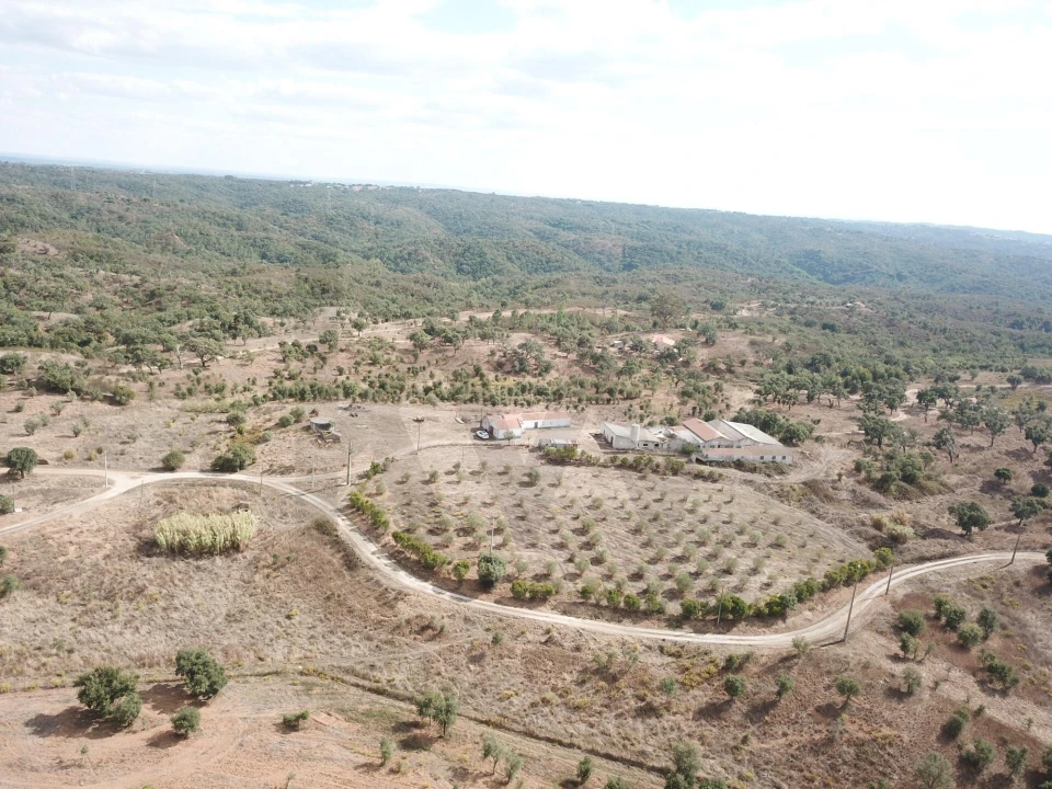 Terreno para Venda em Santiago do Cacém, Santa Cruz e São Bartolomeu da Serra Foto 10
