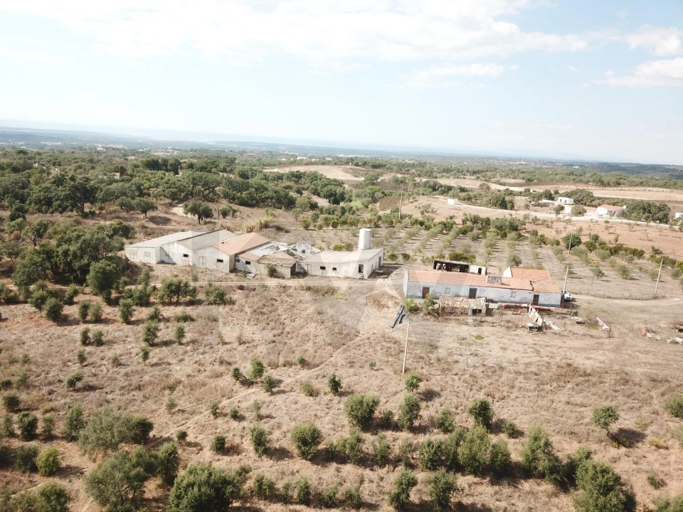 Terreno para Venda em Santiago do Cacém, Santa Cruz e São Bartolomeu da Serra Foto 5